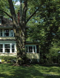 Victoria Carter Real Estate